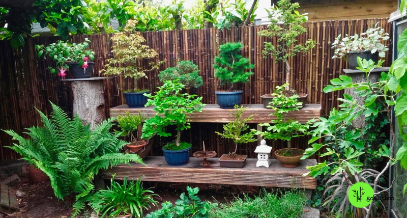 inspiracia bambusový plot